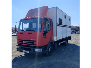 Iveco eurocargo - грузовик для перевозки животных