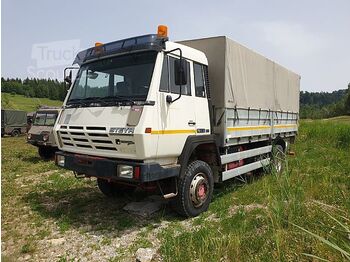 Тентованный грузовик Steyr - 19S32 4x4 Hebebühne: фото 1