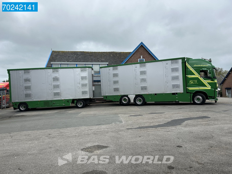 Грузовик для перевозки животных Volvo FH 540 6X2 NL-Truck Cattle transport I-Park Cool ACC Euro 6: фото 6