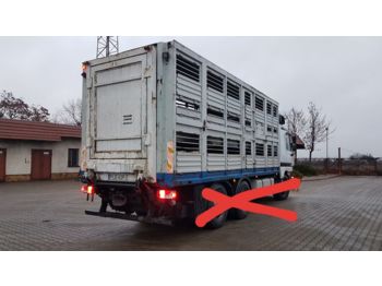 Сменный кузов - фургон для транспортировки животных WERKLUST: фото 1