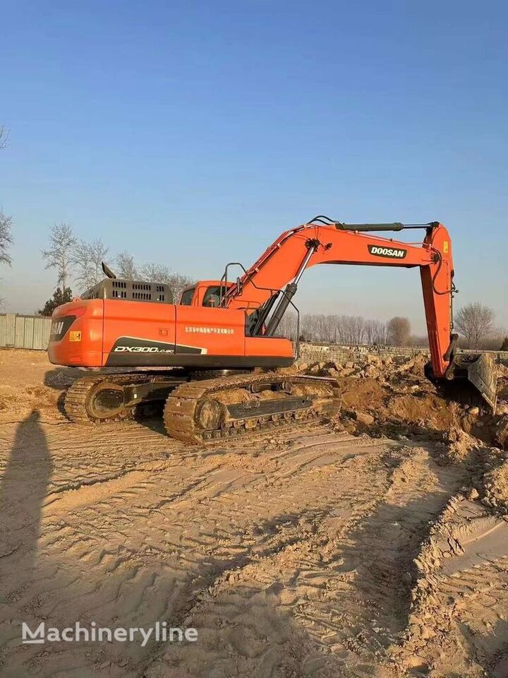 Гусеничный экскаватор DOOSAN DX300 Korean large excavator 30 tons: фото 3