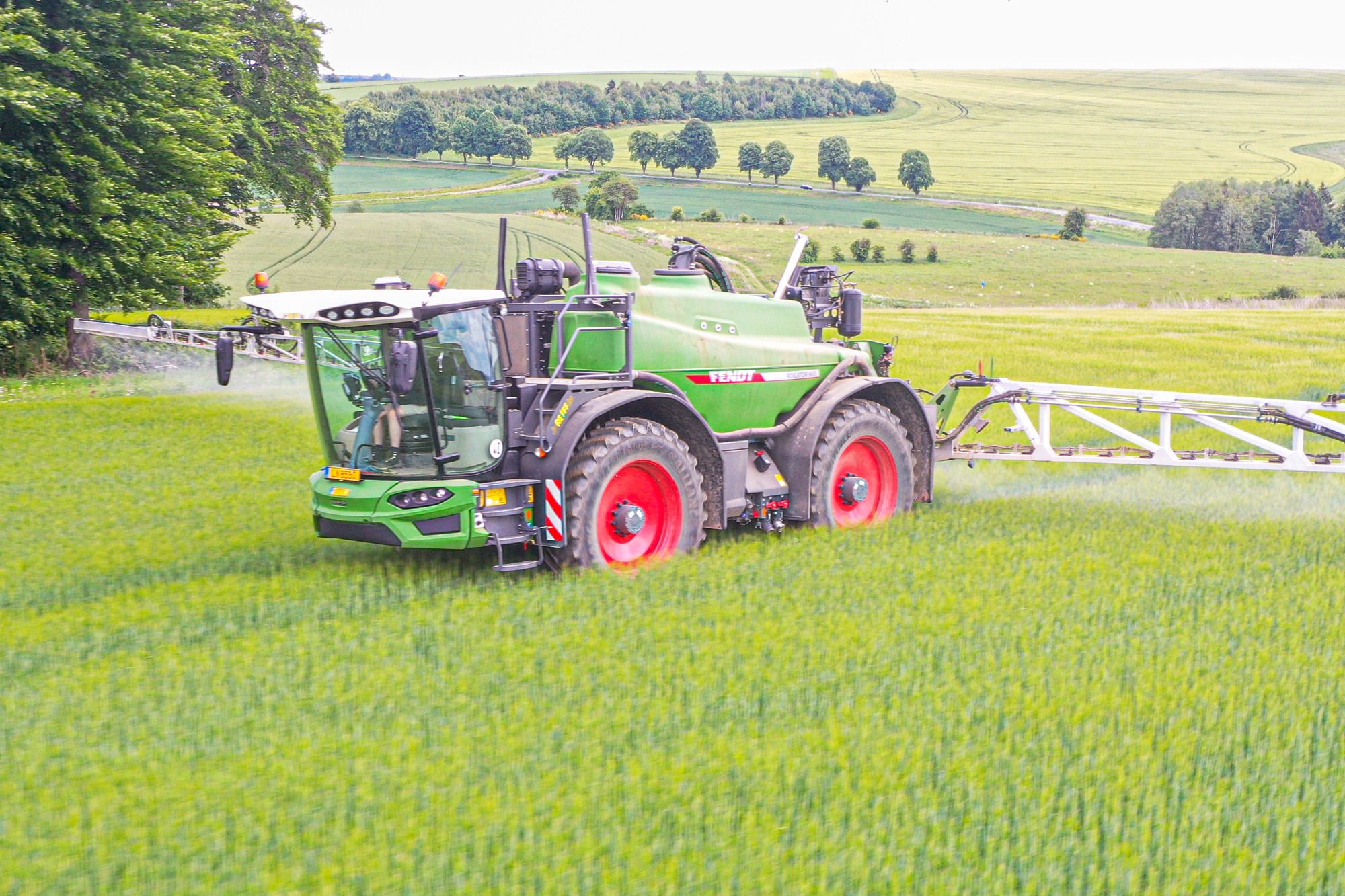 J.Reiff s. á r.l. undefined: фото 2