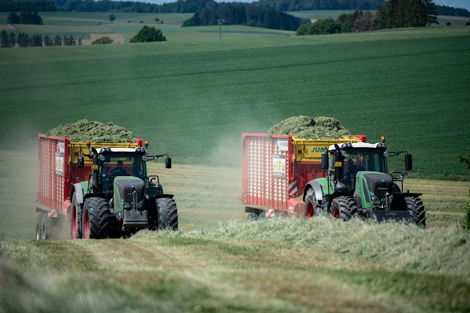 J.Reiff s. á r.l. undefined: фото 20