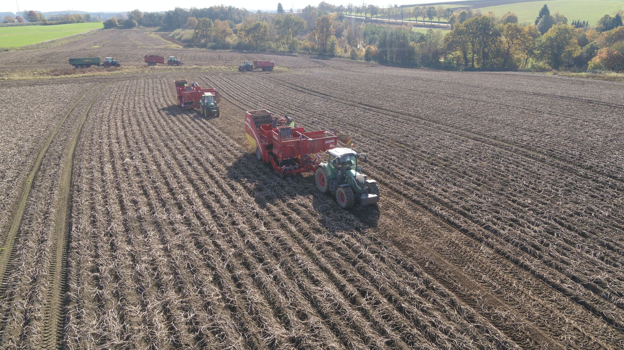 J.Reiff s. á r.l. undefined: фото 32