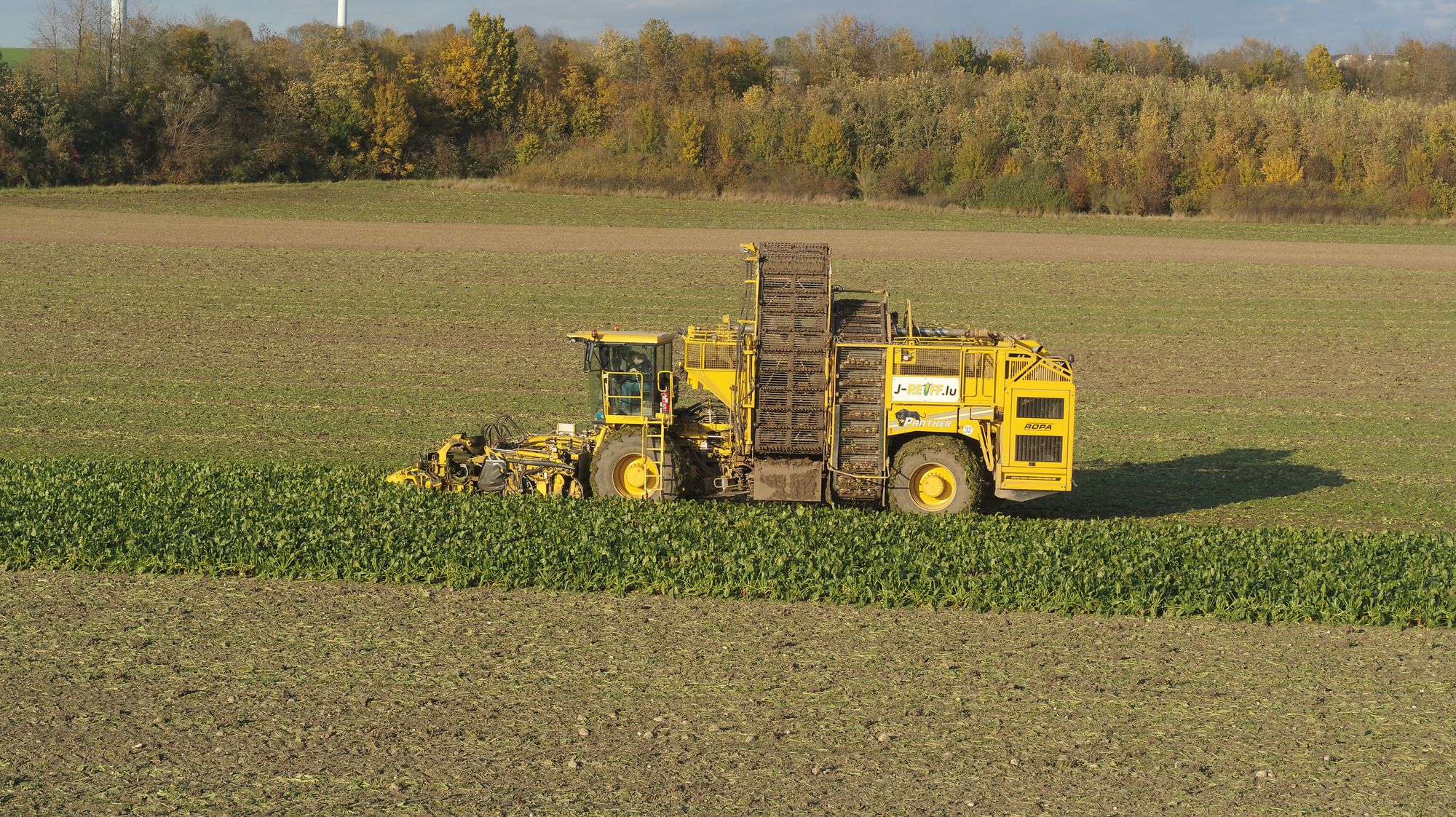 J.Reiff s. á r.l. undefined: фото 30