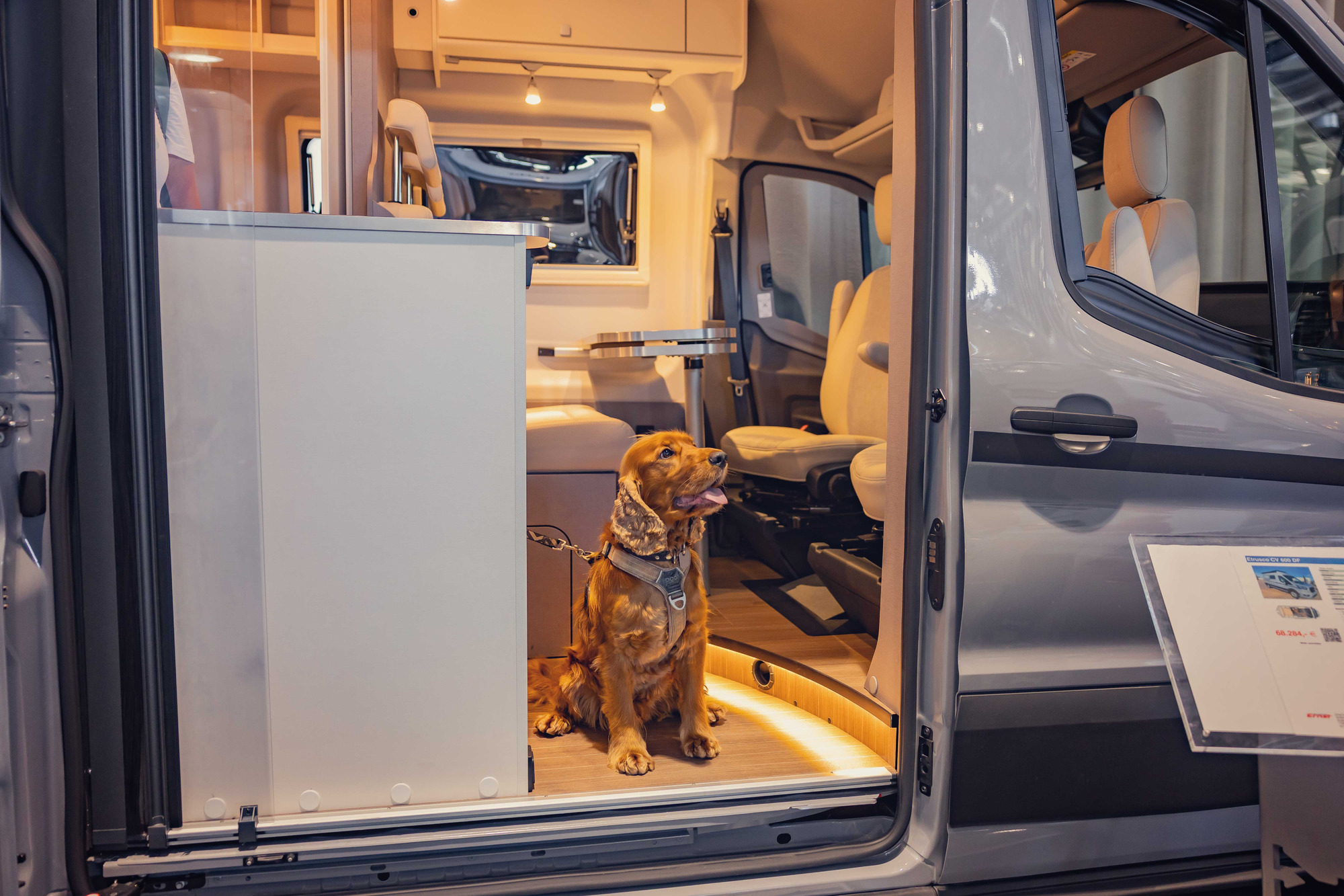 Caravan Live undefined: фото 8