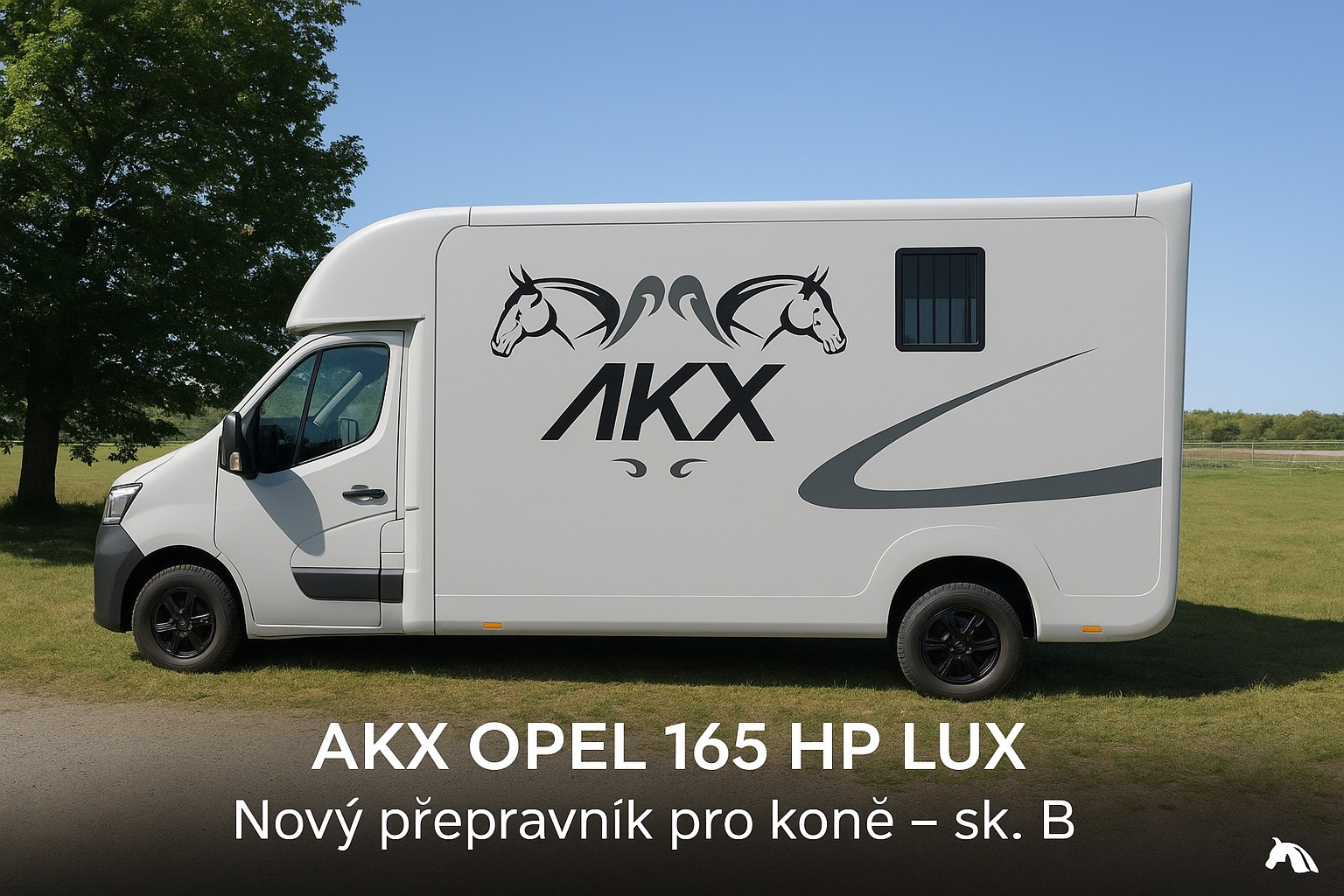 STX Horseboxes Czech rep. - объявления о продаже undefined: фото 2
