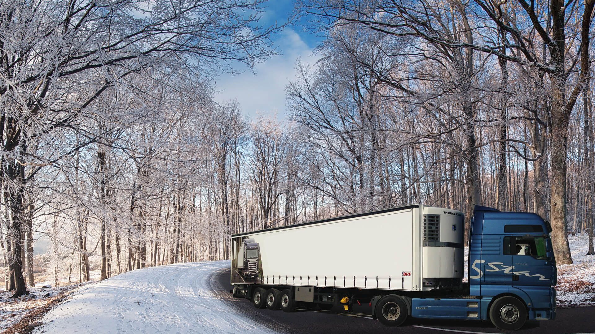 BRF REFRIGERATED TRAILER undefined: фото 3