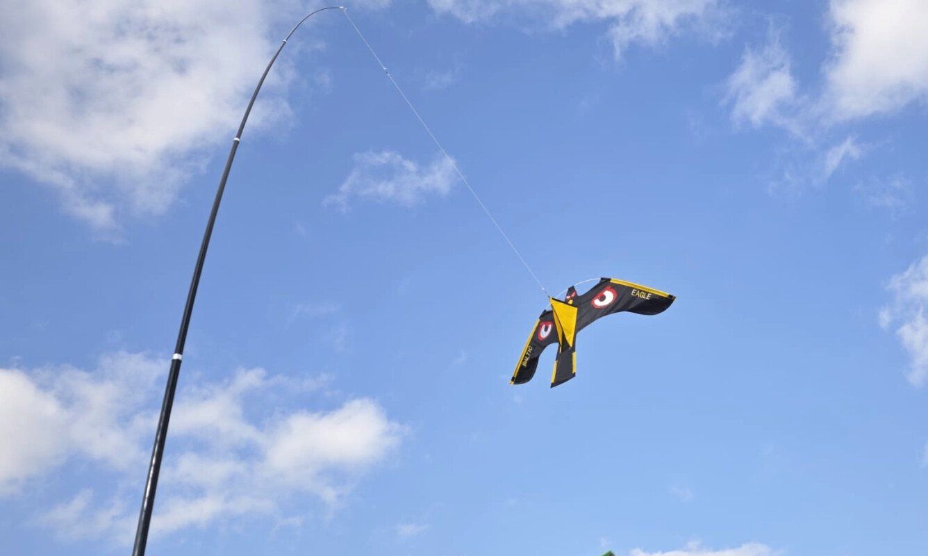 SIA "Baltic Invest"  undefined: фото 4