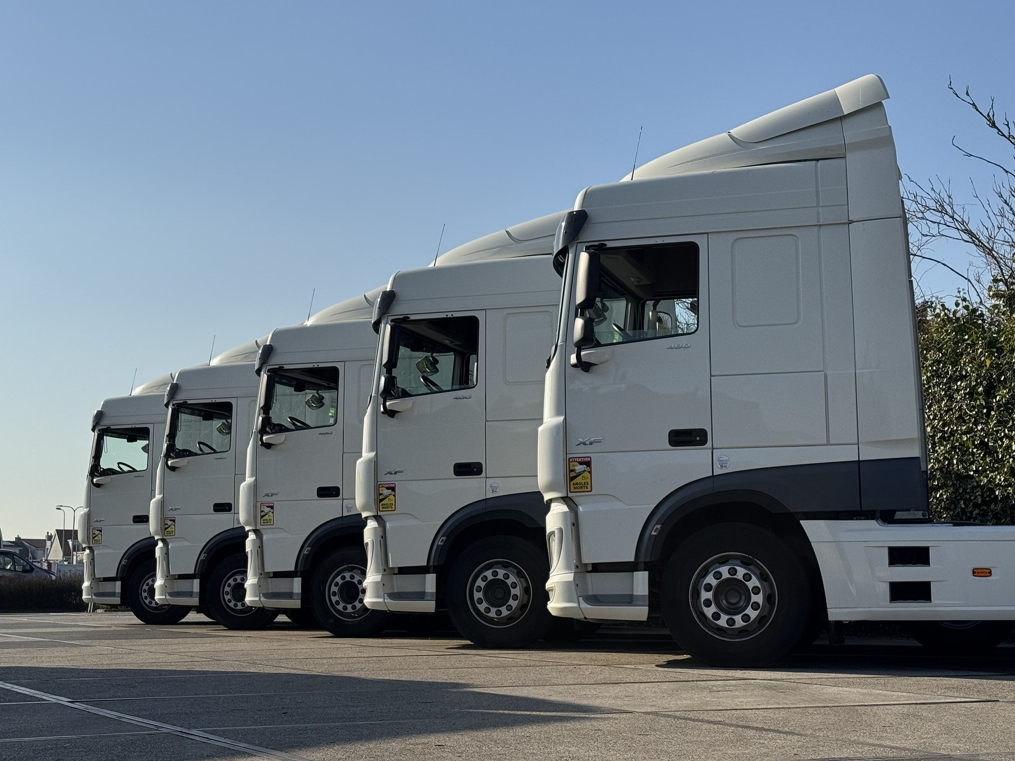 Kulk Trucks undefined: фото 22