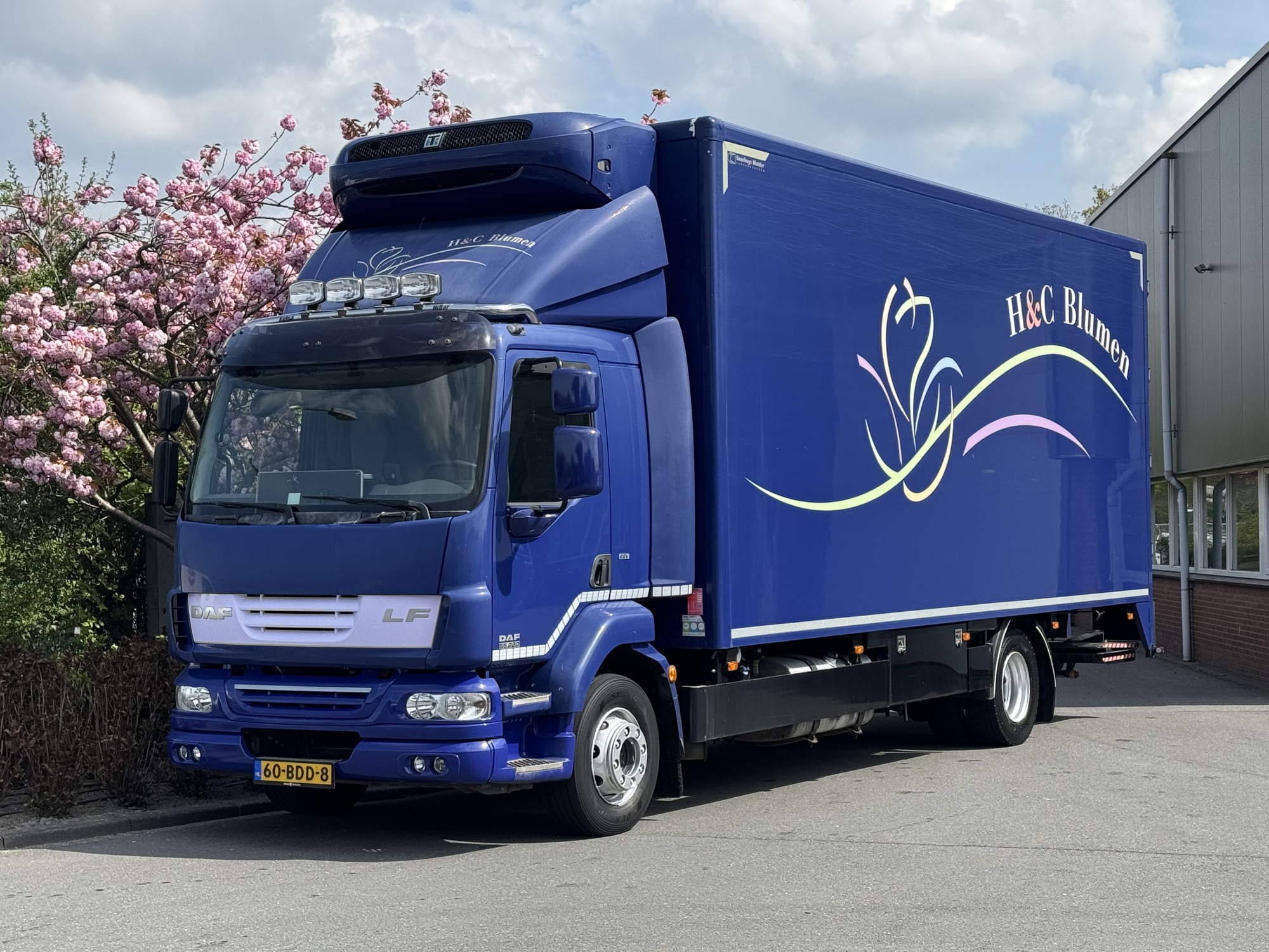 Kulk Trucks undefined: фото 20