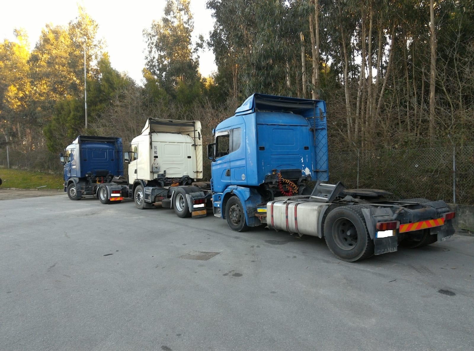 Britannia Export Consultants Limited - Тягачи - Коробка передач: ручная undefined: фото 17