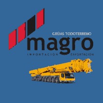 Demag AC 50.1 - Мобильный кран