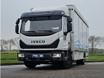 Грузовик с закрытым кузовом IVECO EuroCargo