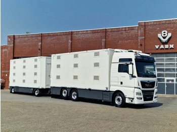 Грузовик для перевозки животных MAN TGX 500 6x2 - 3 deck Cuppers + 4 deck Cuppers 2019 trailer - Water & Ventilation - Night clima -: фото 2