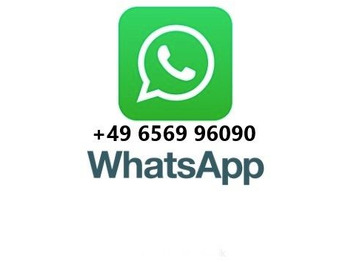 Грузовик-шасси MAN TGS 18.360 4x4 Winterdienst Meiller Fahrgestell: фото 2 Грузовик-шасси MAN TGS 18.360 4x4 Winterdienst Meiller Fahrgestell: фото 2