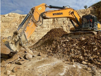 Гусеничный экскаватор HYUNDAI