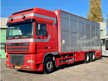 Грузовик для перевозки животных DAF XF 95 430