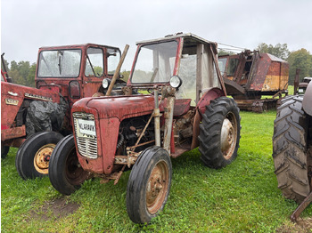 Трактор MASSEY FERGUSON