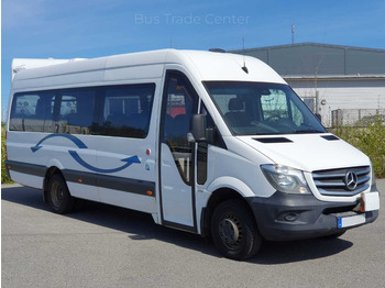 Микроавтобус MERCEDES-BENZ Sprinter 516