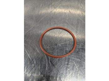 : фото в шапке страницы