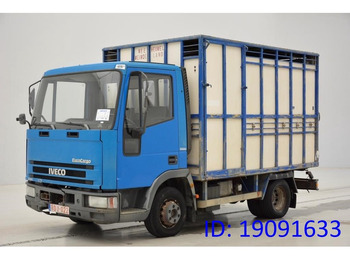 Грузовик для перевозки животных IVECO