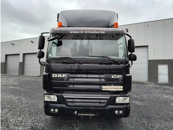 Тентованный грузовик DAF CF 75.310 RETARDER - D'HOLLANDIA 2500 KG - EURO 5: фото 2