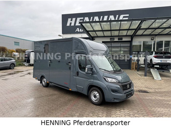 Коневоз FIAT Ducato