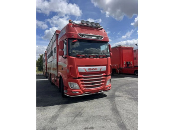 Грузовик для перевозки животных DAF XF 460