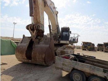Экскаватор LIEBHERR
