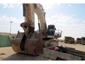 Экскаватор Liebherr R9100: фото 1