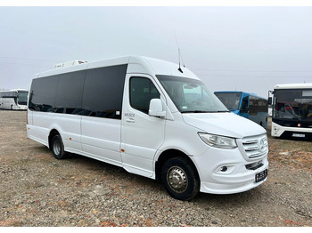 Микроавтобус MERCEDES-BENZ Sprinter 516