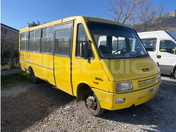 Школьный автобус IVECO