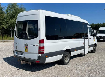 Микроавтобус, Пассажирский фургон Mercedes-Benz Sprinter 2008: фото 3