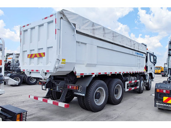 Новый Самосвал для транспортировки сыпучих материалов SHACMAN Shacman X3000 Dump Truck for Sale in Saudi Arabia: фото 4