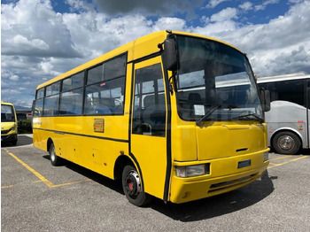 Школьный автобус IVECO