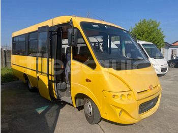 Школьный автобус IVECO