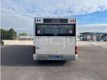 Пригородный автобус Man Lion's Classic: фото 4 Пригородный автобус Man Lion's Classic: фото 4