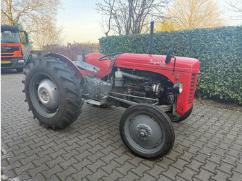 Трактор Oldtimer, Massey Ferguson TEF Diesel: фото 2 Трактор Oldtimer, Massey Ferguson TEF Diesel: фото 2