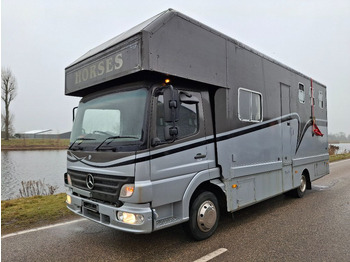 Коневоз MERCEDES-BENZ Atego 815