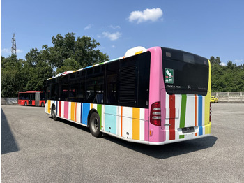 Городской автобус N.1 MERCEDES BENZ CITARO O530 – Anno 2012: фото 5 Городской автобус N.1 MERCEDES BENZ CITARO O530 – Anno 2012: фото 5
