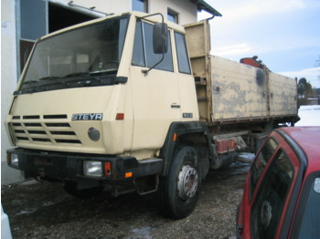 Самосвал STEYR 19S31: фото 1