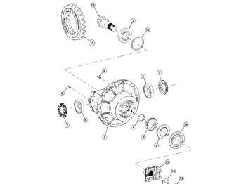 Дифференциал CASE