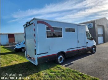 Кастенваген Renault MASTER: фото 1
