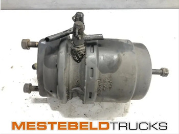 Детали тормозной системы DAF