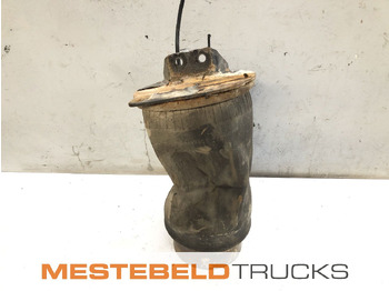 Рама/ Шасси MAN TGS