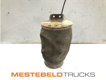 Рама/ Шасси MAN TGS