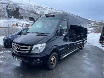 Микроавтобус MERCEDES-BENZ Sprinter 519