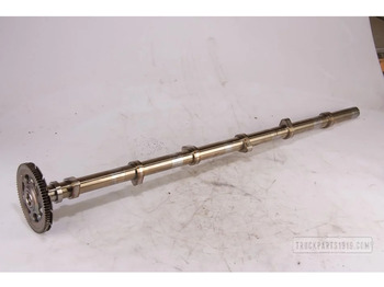 : фото в шапке страницы