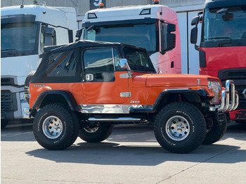 Внедорожник Jeep Wrangler  * V8 UMBAU * OLDTIMER * TOP *: фото 4